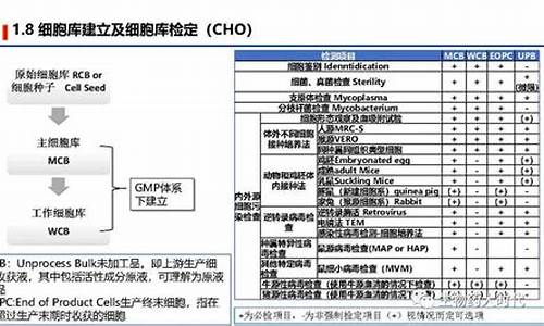 河南cuba比赛时间-wcba河南赛程